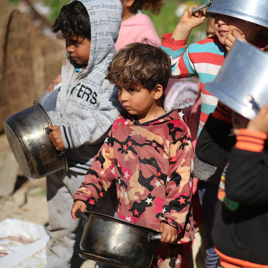 نداء الطوارئ لأزمة غزة